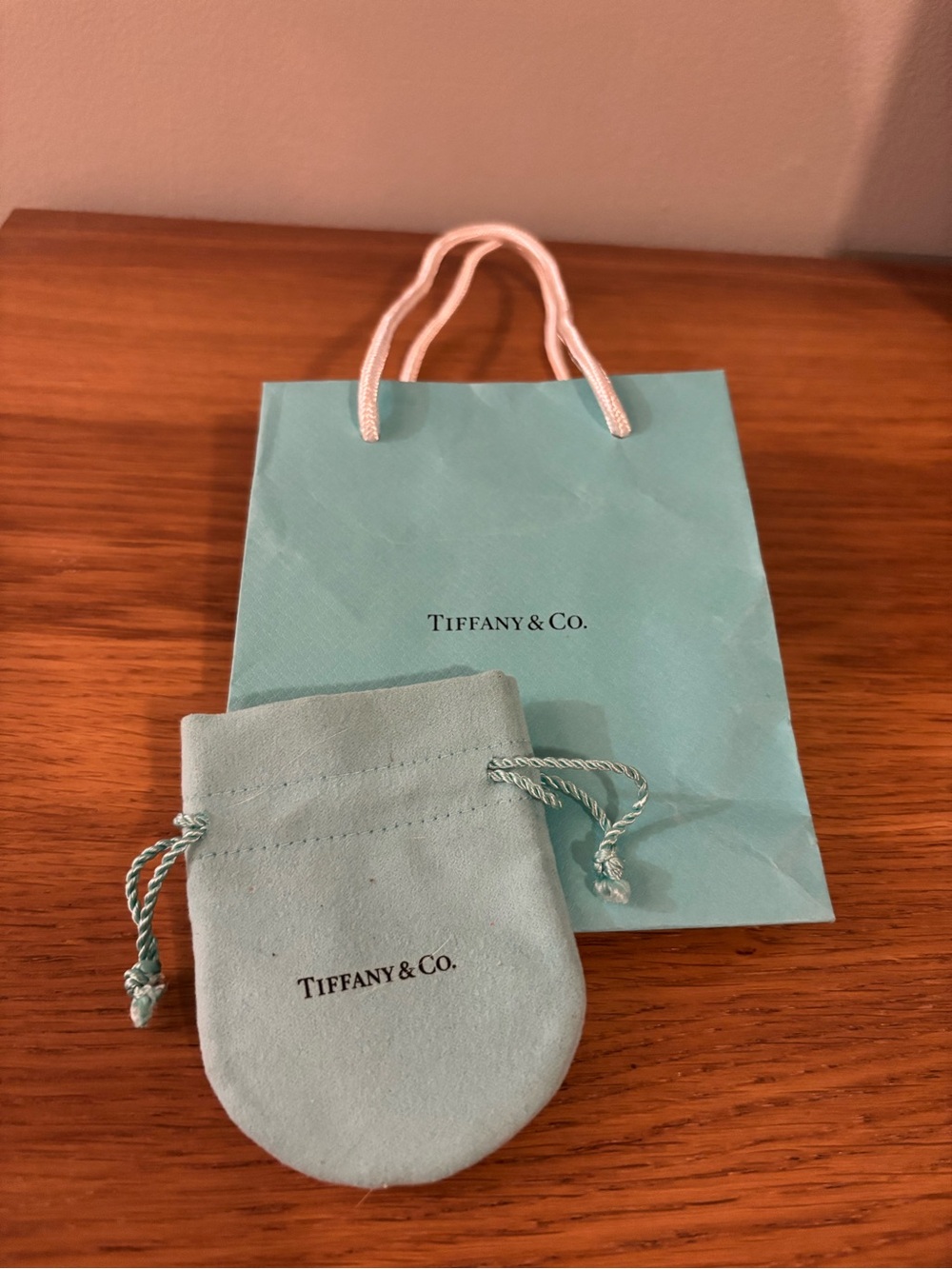Tiffany & Co. Blue Gift Bag with Drawstring Pouch